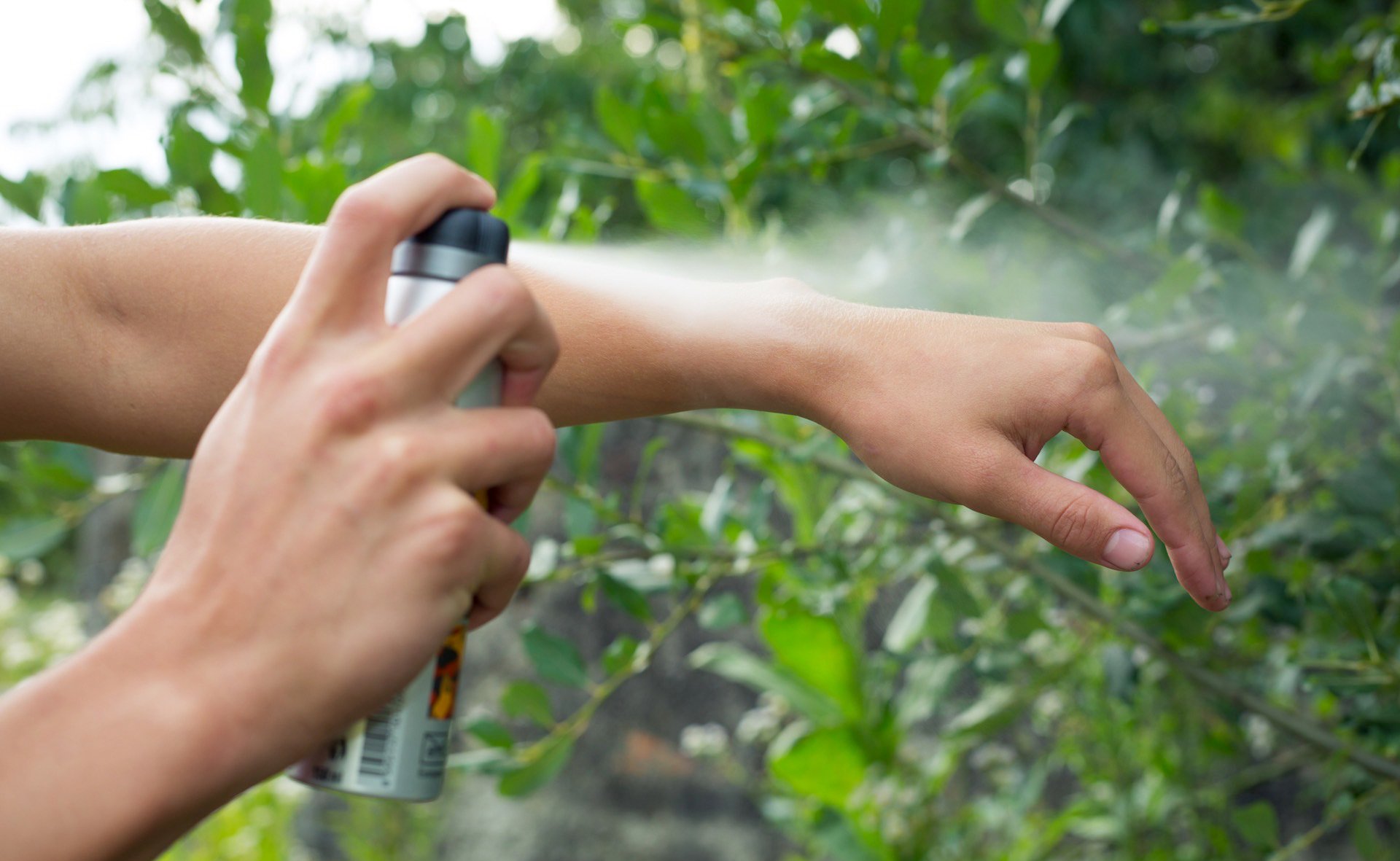 demand-of-natural-insect-repellent-market-increases-due-to-rising-fear