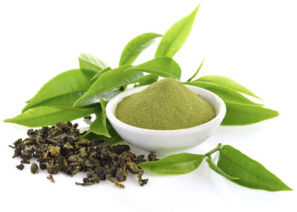 Camellia Sinensis Leaf Extract Market Segmentation Archives - FMIBlog