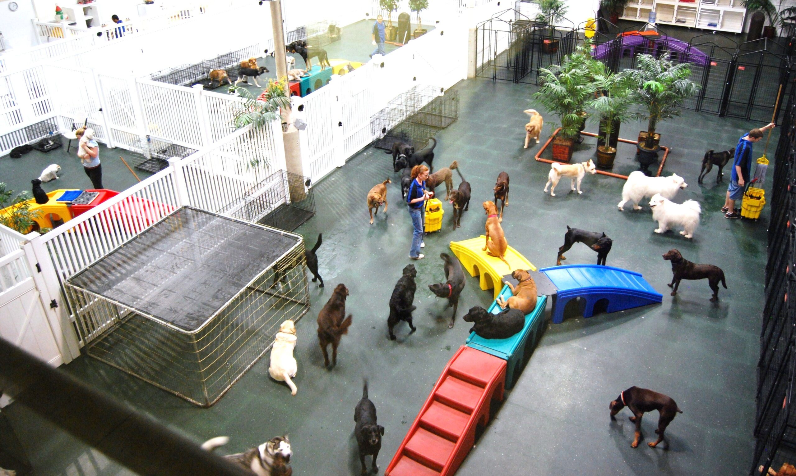 Pet Daycare Market