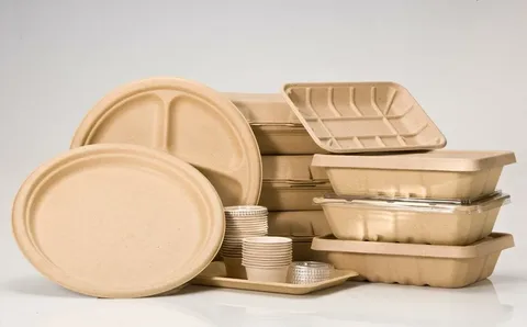 Biodegradable Lids Market