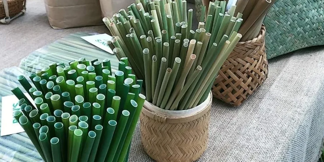 Eco-Friendly Straws Market