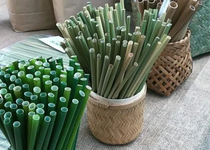 Eco-Friendly Straws Market