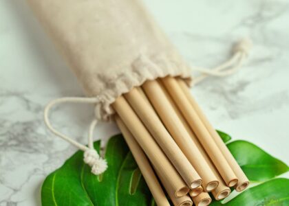 Bamboo Straws Market