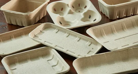 Molded Fiber Trays Market