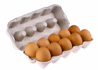 Egg Carton Market