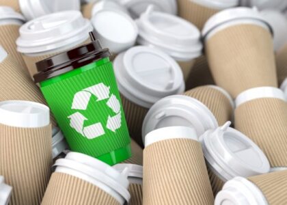 Biobased Biodegradable Plastic Market