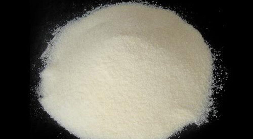 Sodium Caseinate Market