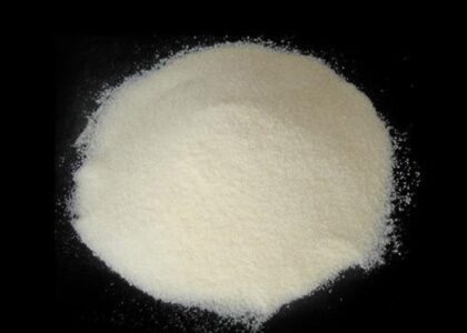 Sodium Caseinate Market