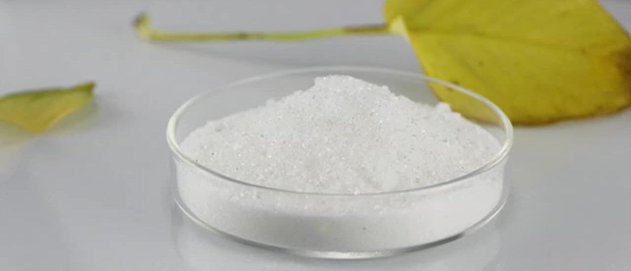 Sodium Chlorate Market