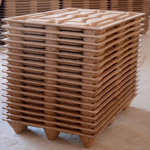 Molded Wood Pallets Market