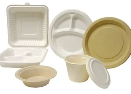 Biodegradable Lids Market