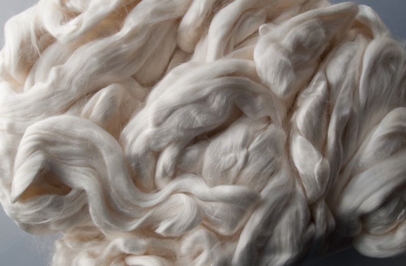 Cellulose Fiber Market