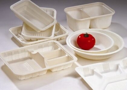 Disposable Food Containers Market