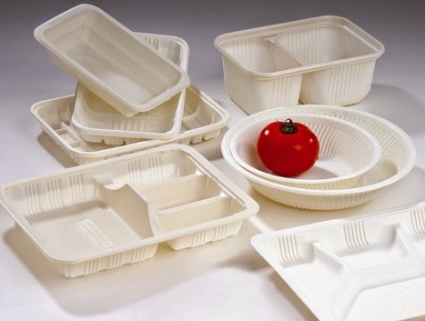 Disposable Food Containers Market