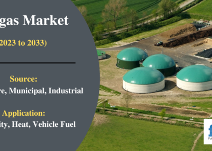 Biogas Market