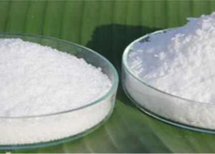 Lauric Acid Market