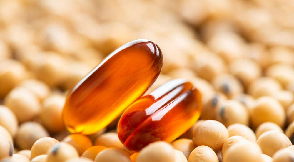 Soy Lecithin Market