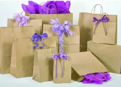 Kraft Paper Bags Market