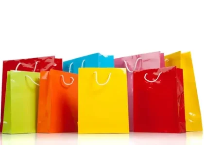 Inclusion Bags Market