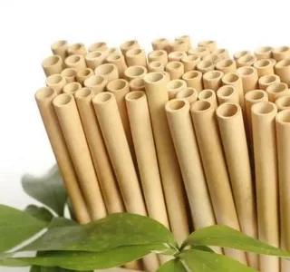 Bamboo Straws Market