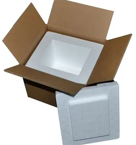 Insulated Styrofoam Shipping Boxes Market