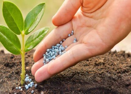 Fertilizer Additives Market