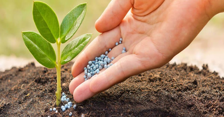 Fertilizer Additives Market