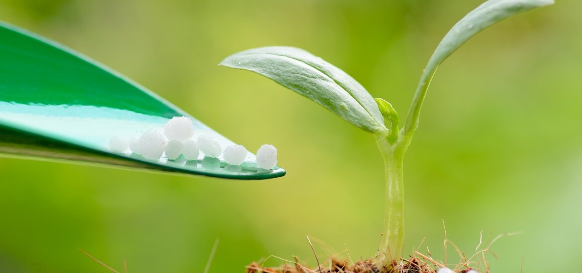 Green Fertilizer Market