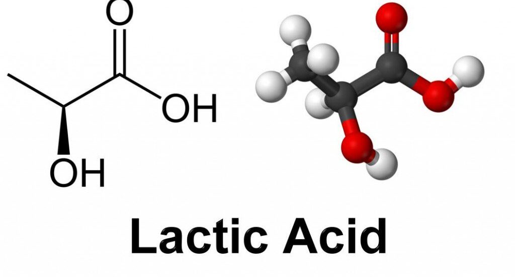 Gypsum-free Lactic Acid Market