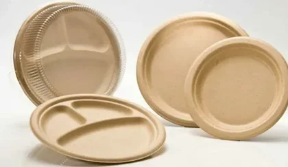 Eco-friendly Paper Plates Market