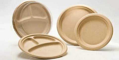 Eco-friendly Paper Plates Market