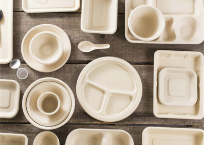 Bagasse Tableware Products Market