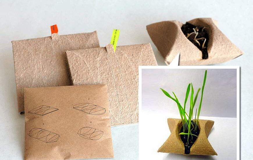 Seed Packaging Market