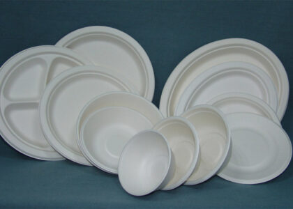 Bagasse Tableware Products Market