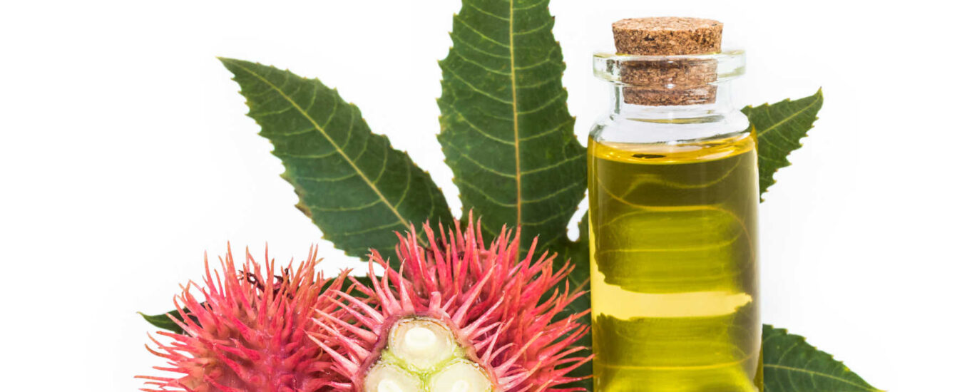 Castor Oil Derivatives