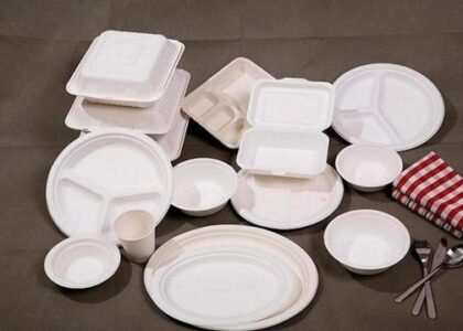 Bagasse Tableware Products Market