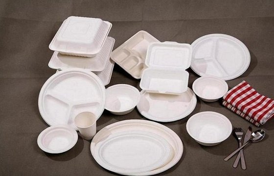 Bagasse Tableware Products Market