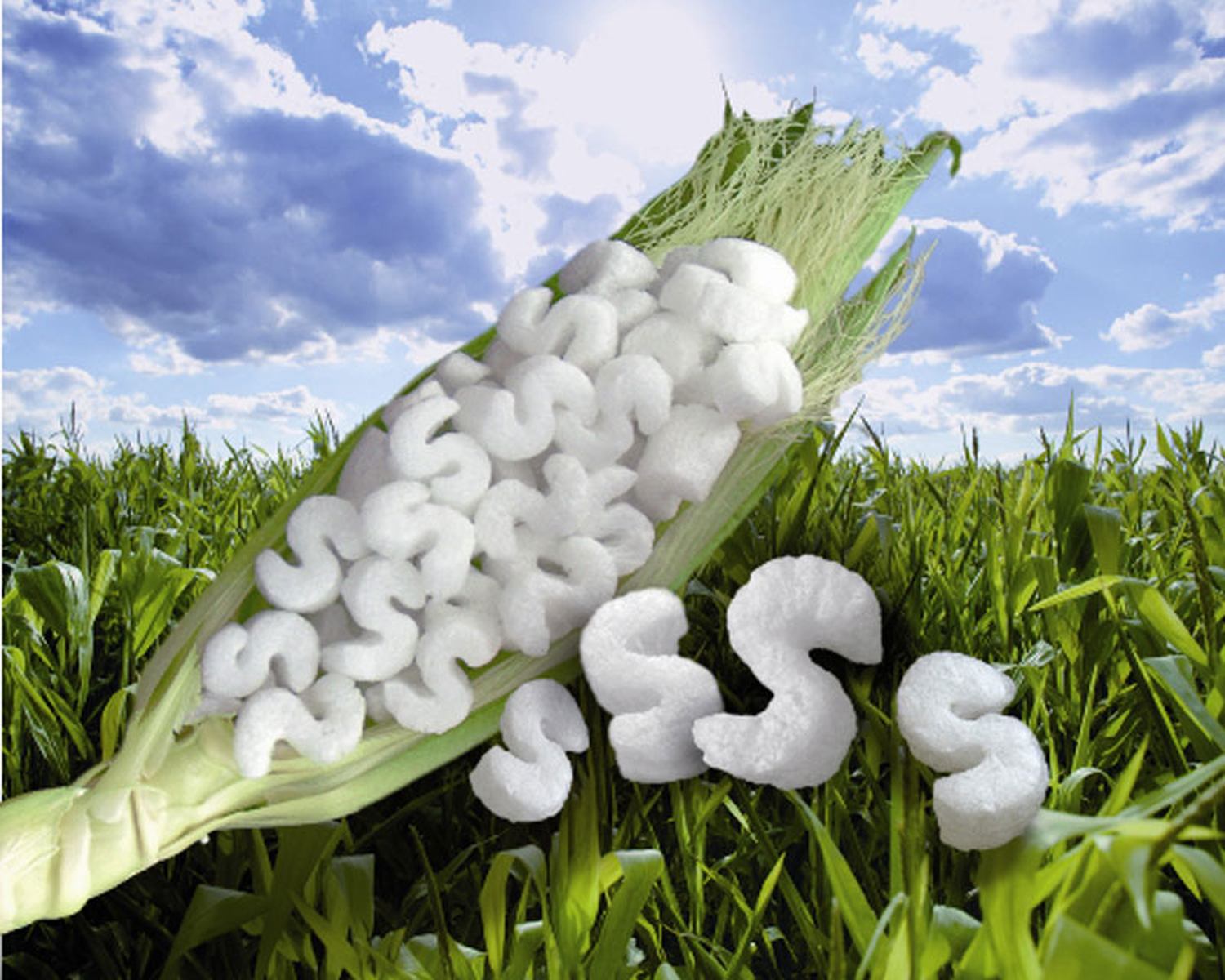 Biodegradable Packing Peanuts Market