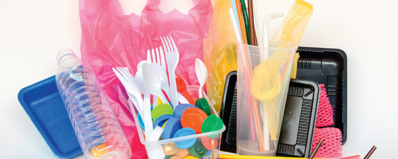 Single-Use Plastic Packaging Market