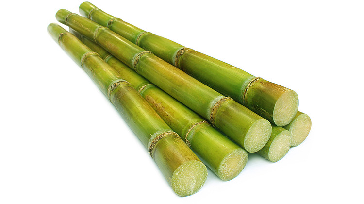 Sugarcane Based PET Bottles Market