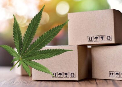 CBD Product Packaging Market