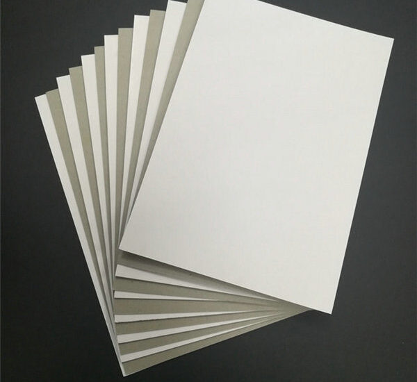 Coated White Board Paper Market