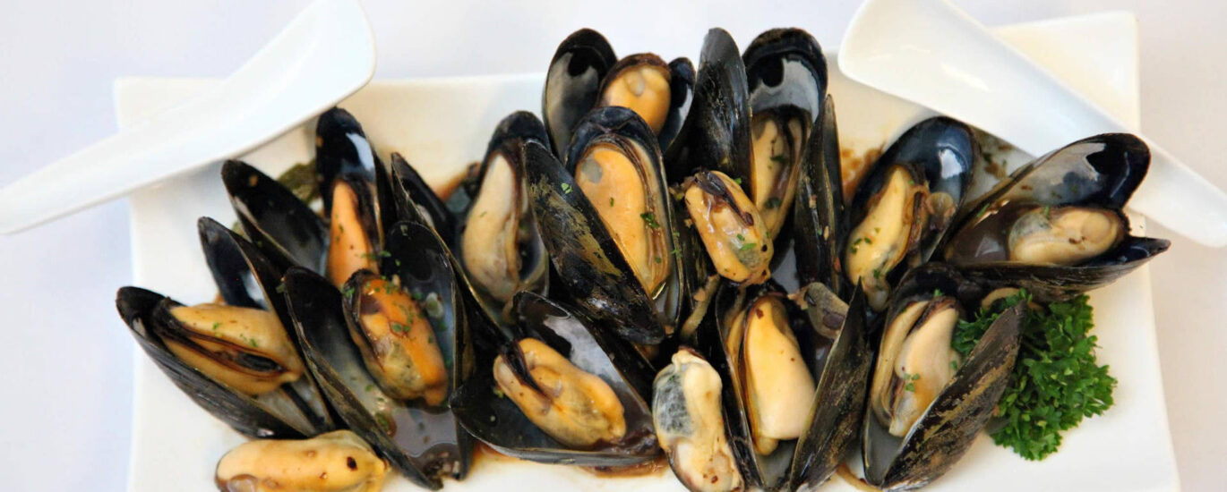 Mussels