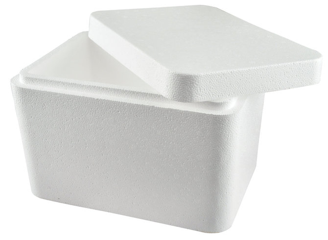 Foam Cooler Box Market