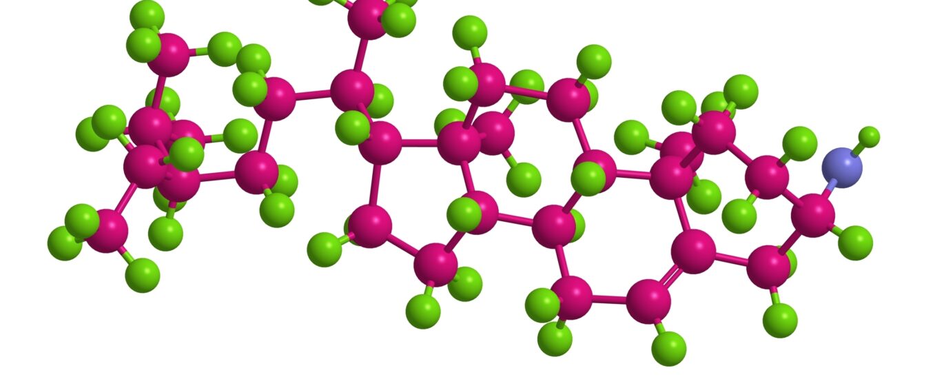 Understanding the Global Plant Sterol Esters Market: Trends and ...