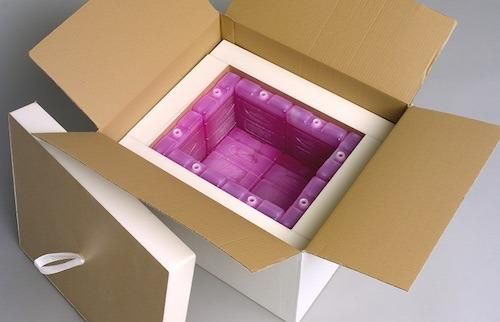 Reusable Cold Chain Packaging Market