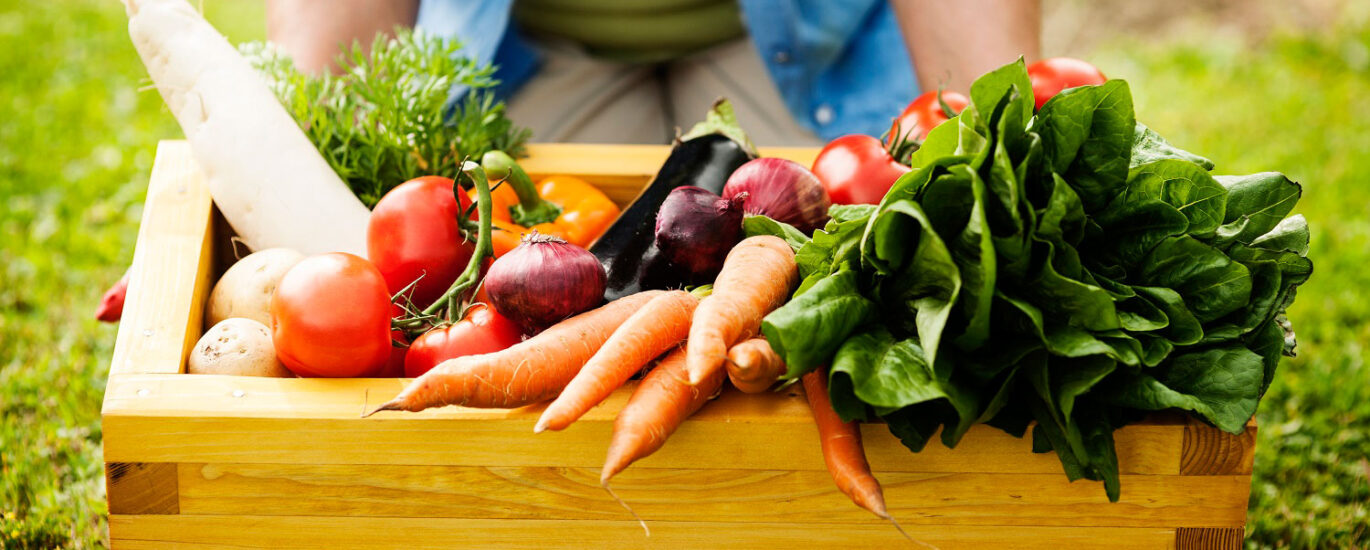 Fresh Produce Trays Market