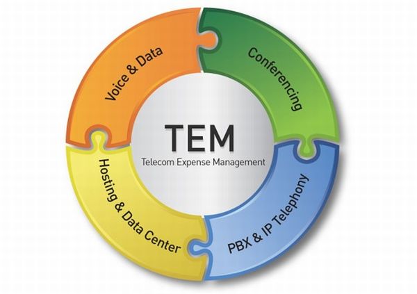 Telecom Expense Management Market