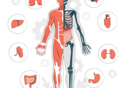 Anatomic Pathology Market