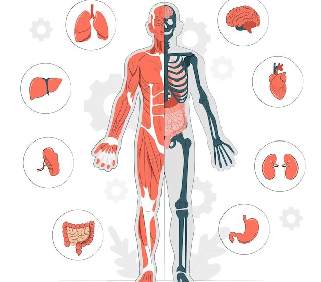 Anatomic Pathology Market